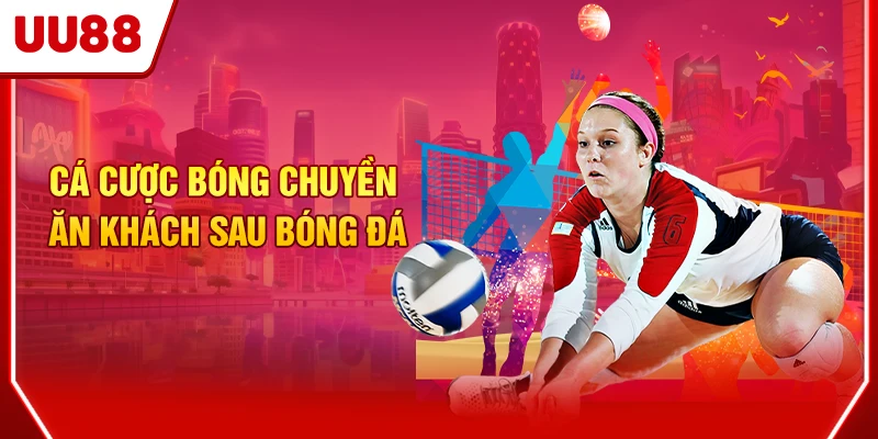 Cá cược bóng chuyền ăn khách sau bóng đá