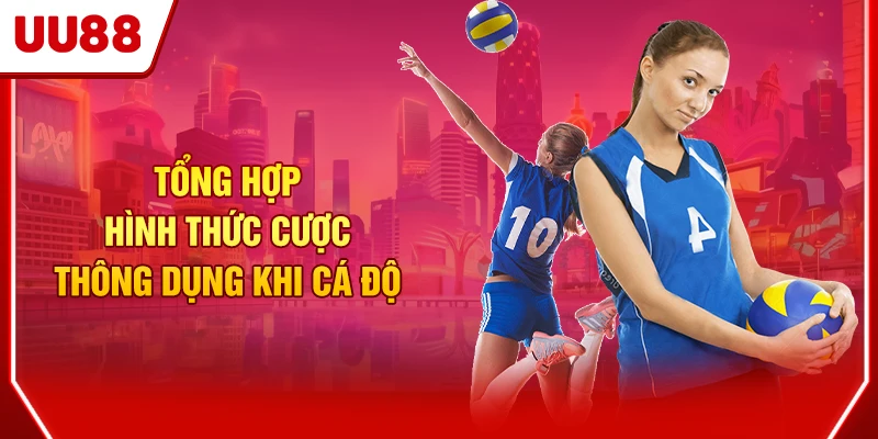 Tổng hợp hình thức cược thông dụng khi cá độ
