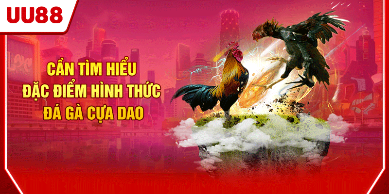 Cần tìm hiểu đặc điểm hình thức đá gà cựa dao