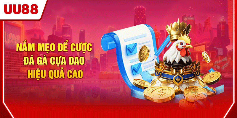 Nắm mẹo để cược đá gà cựa dao hiệu quả cao