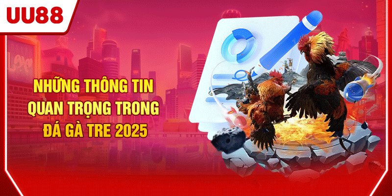 Những thông tin quan trọng trong đá gà tre 2025